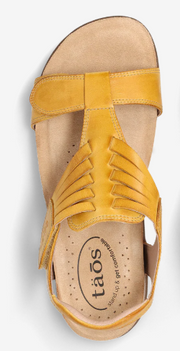 Taos Wonderful - Yellow