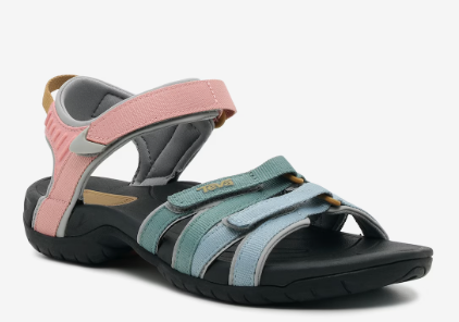 Earth teva sales